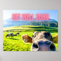 Funny Cow Get Well Soon