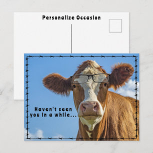 Funny Cow Glasses Ranchers Country Western Tales Holiday Postcard