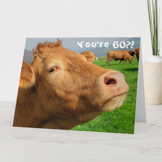 Funny Cow Happy 60th Birthday Card (Front)