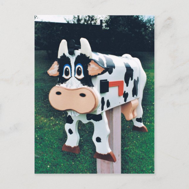 Funny cow mailbox photo postcard (Front)