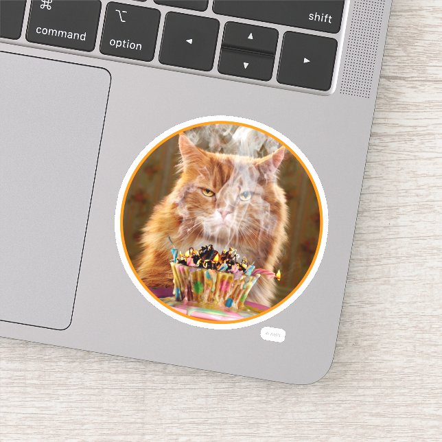 Funny Cranky Cat With Melted Birthday Cupcake (Detail)