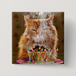 Funny Cranky Cat With Melted Birthday Cupcake 15 Cm Square Badge