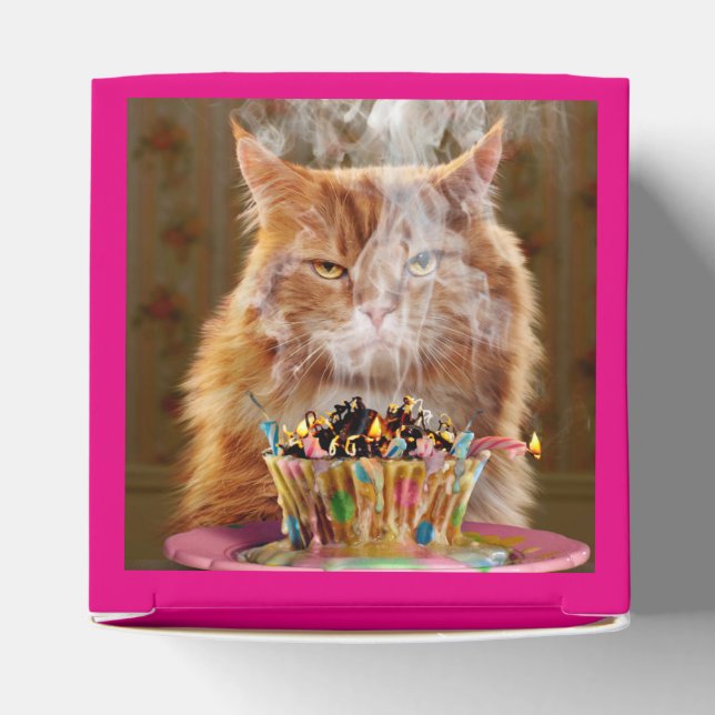 Funny Cranky Cat With Melted Birthday Cupcake Favour Box (Top)