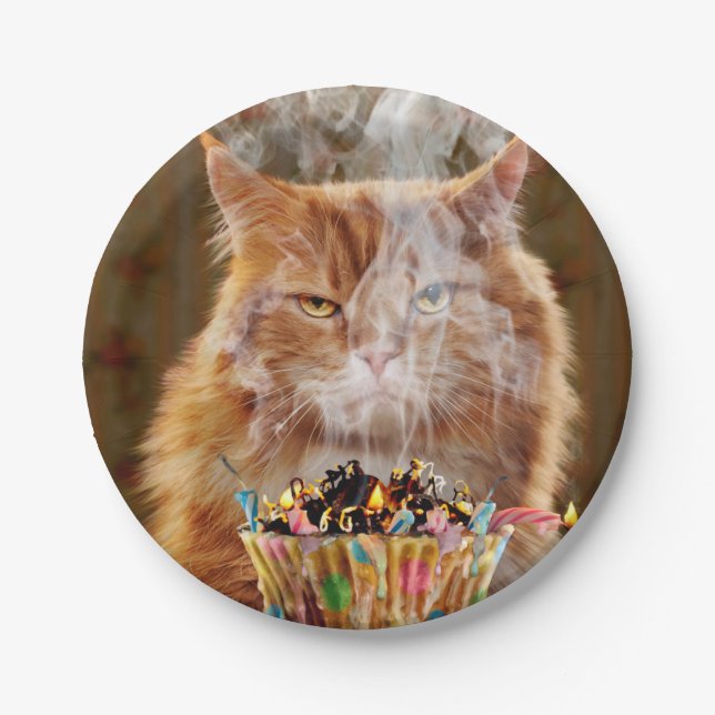 Funny Cranky Cat With Melted Birthday Cupcake Paper Plate (Front)