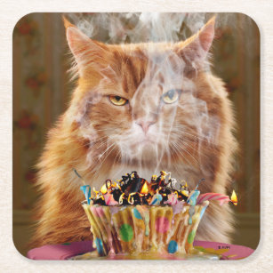 Funny Cranky Cat With Melted Birthday Cupcake Square Paper Coaster