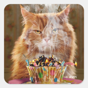 Funny Cranky Cat With Melted Birthday Cupcake Square Sticker