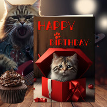 Funny Crazy Cat Lady Birthday