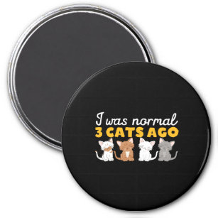 Funny Crazy Cat Lady Kitty and Kitten Lover Magnet