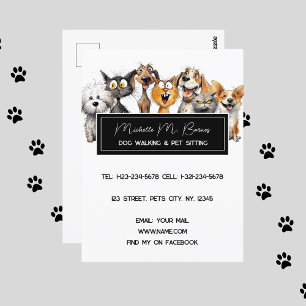 Funny Crazy Cats Dogs Pet Sitter Modern White Postcard