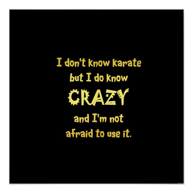 Funny Crazy or Karate Joke Poster (Front)