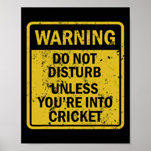 Funny Cricket Sport Themed Birthday Party Crickete Poster