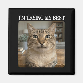 Funny Crying Cat Meme for Men Women Kids Silly Magnet