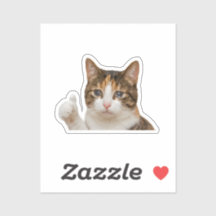 Funny Crying Cat Thumbs Up Meme Graphic