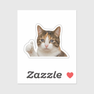 Funny Crying Cat Thumbs Up Meme Graphic