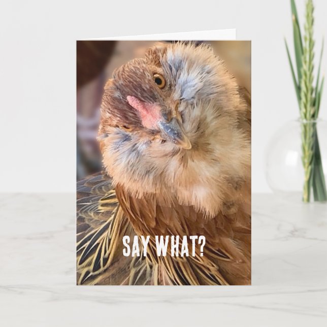 Funny Curious Amber Brown Chicken Close-Up Photo  Card (Front)