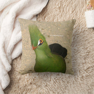 Funny Curious Guinea Turaco Green Bird Cushion