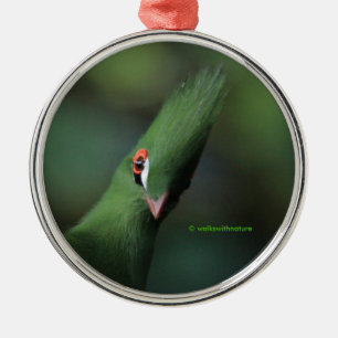 Funny Curious Guinea Turaco Green Bird Metal Tree Decoration