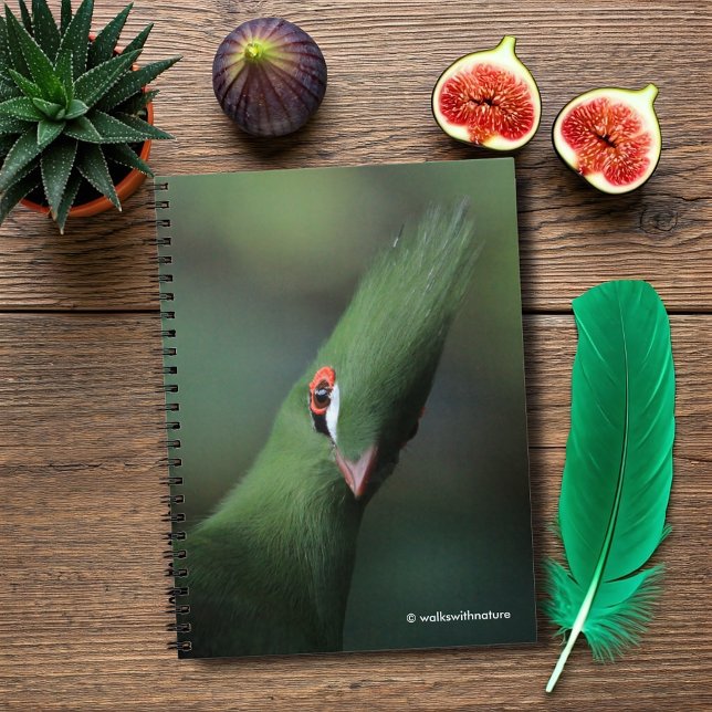 Funny Curious Guinea Turaco Green Bird Spiral Notebook (Funny and Curious Guinea Turaco Journal Cover Photo)