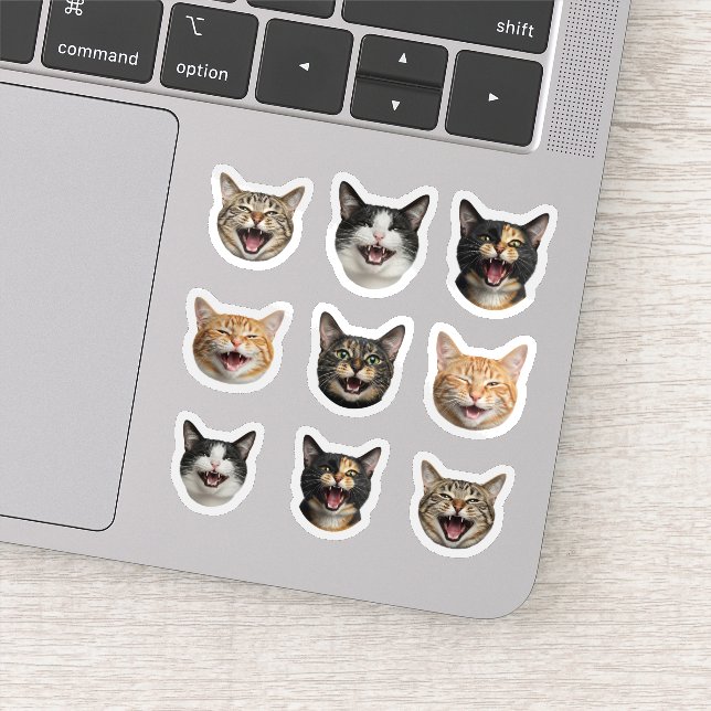 Funny Custom Cat Face – Personalised 9 Photos (Detail)