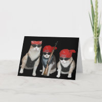 Funny, customisable Biker Cats Birthday