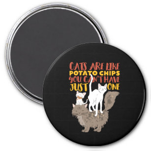 Funny Cute Cat Lover Cats Are Like Potato Chips Magnet