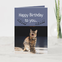 Funny Cute Cat Singing Happy Birthday