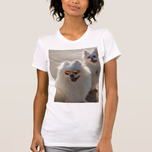Funny Cute Cats Photo T-Shirt, Adorable Cat Lover  T-Shirt