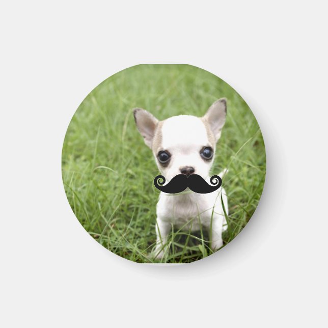 Funny Cute Chihuahua with Moustache Magnet (Front)