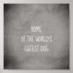 funny  cute collage  dog quote poster art