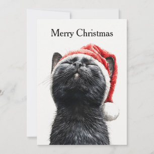 Funny Cute Comic Whimsical Cat Merry Christmas  Holiday Card