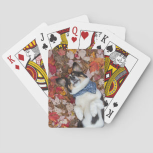 Funny, Cute, Corgi Look Playing Cards