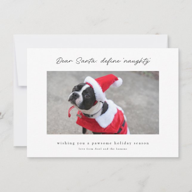 Funny & Cute Define Naughty Dog Holiday Card (Front)