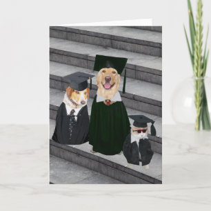 Funny/Cute Dog Graduation Card