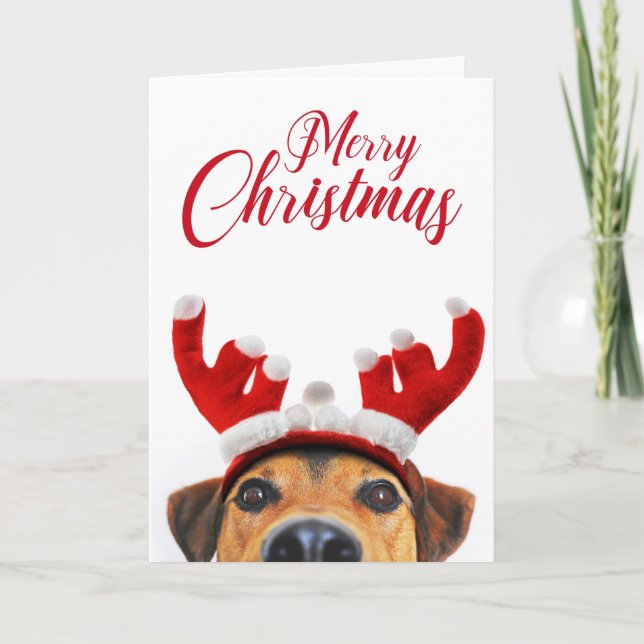 Funny Cute Dog Reindeer Antler Headband Christmas Card (Front)