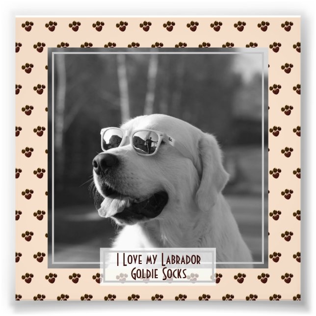 Funny Cute Golden Labrador Retriever PHOTO Named Print (Front)