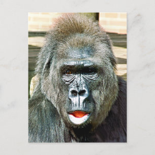 FUNNY CUTE GORILLA POSTCARD