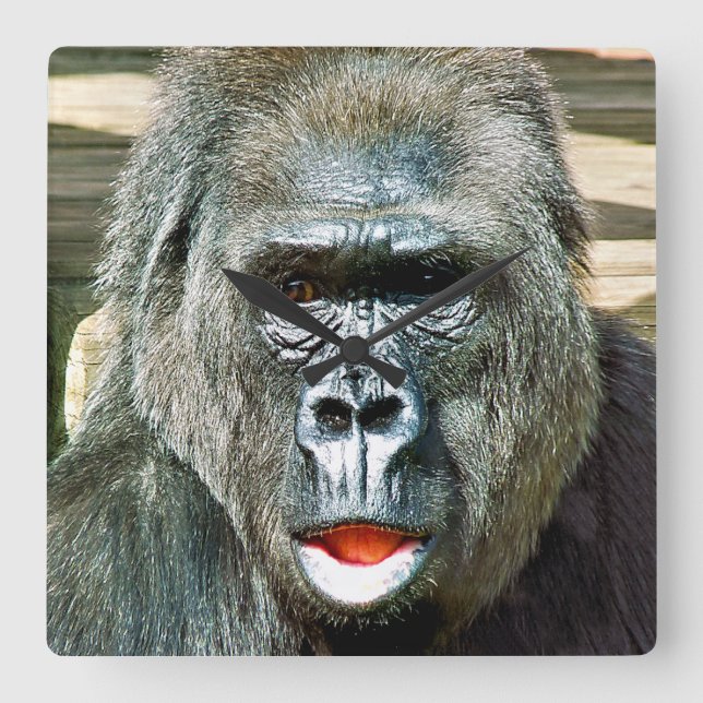 FUNNY CUTE GORILLA SQUARE WALL CLOCK (Front)