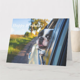 Funny Cute Happy French Bulldog Dog Birthday Card