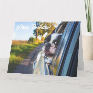 Funny Cute Happy French Bulldog Dog Birthday Card