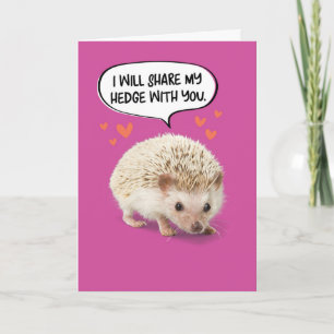 Funny Cute Hedgehog Birthday Card