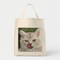 Funny, Cute Kitten Licking His Chops