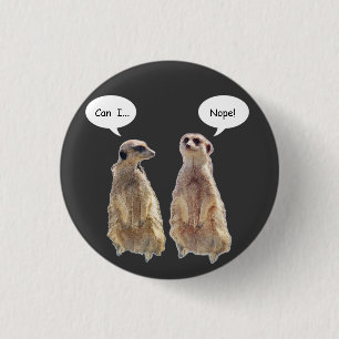 Funny, cute meerkats in conversation  3 cm round badge