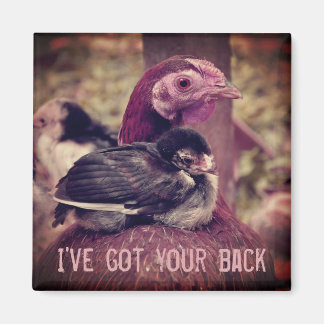 Funny Cute Mother Hen and Chick Magnet