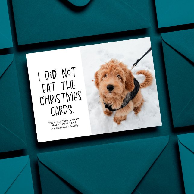 Funny cute pet black and white New Year photo Holiday Card (Creator Uploaded)