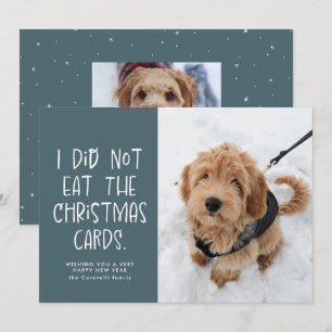 Funny cute pet light blue photo New Year Holiday Card