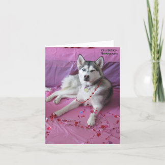 Funny, cute Siberian Husky Valentine's Day Card