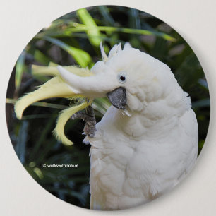 Funny Cute Sulphur-Crested Cockatoo Waves Hello 6 Cm Round Badge