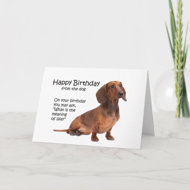 Funny Dachshund Birthday Card (Front)