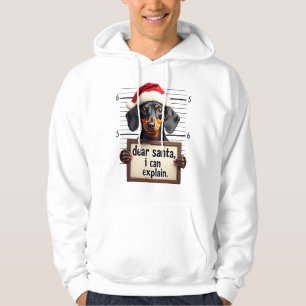 Funny Dachshund Christmas Dear Santa I Can Explain Hoodie