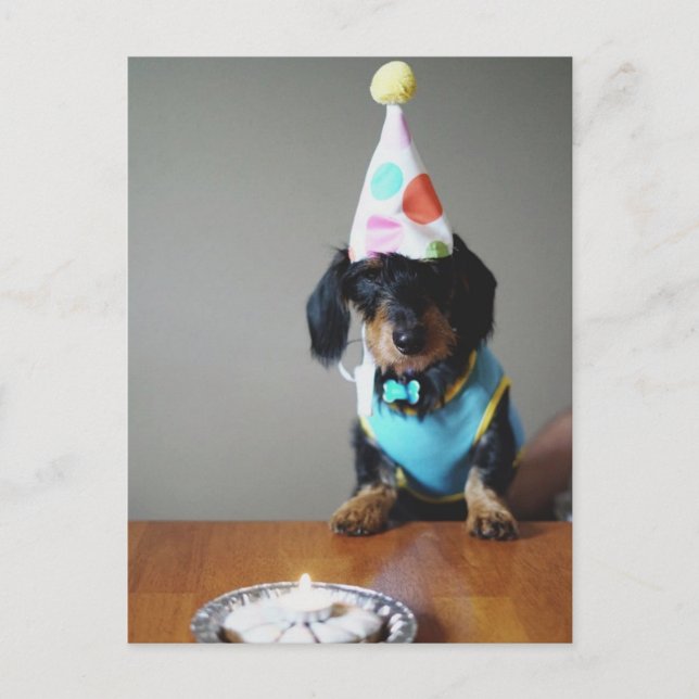 Funny Dachshund Dog Birthday Card (Front)
